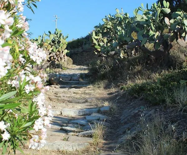 Un Salto Nel Blu
